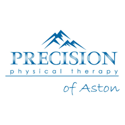 Precision Physical Therapy