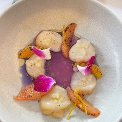 Orso Trattoria