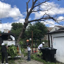 Trustworthy Tree Service