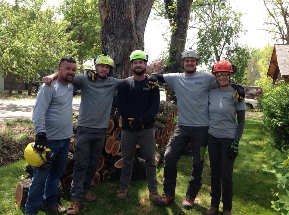 Mountain Tree Service - tree service in Boise, ID