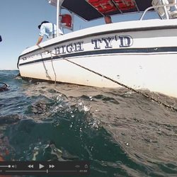 High Ty'd Charters