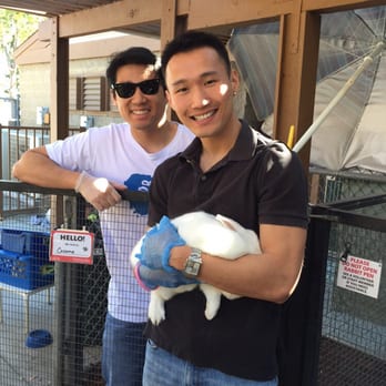 Irvine Animal Care Center - I luv rabbits! - Animal Shelters Near Me - Irvine, California Irvine Animal Care Center - I luv rabbits! - Animal Shelters Near Me - Irvine, California