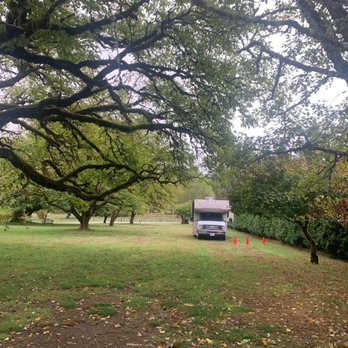 Cedar Springs Alpacas - We camped in this beautiful yard - Local Flavor Near Me - Sandy, Oregon
