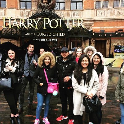 See Your City by null