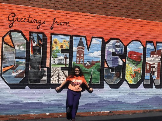 Clemson University by null