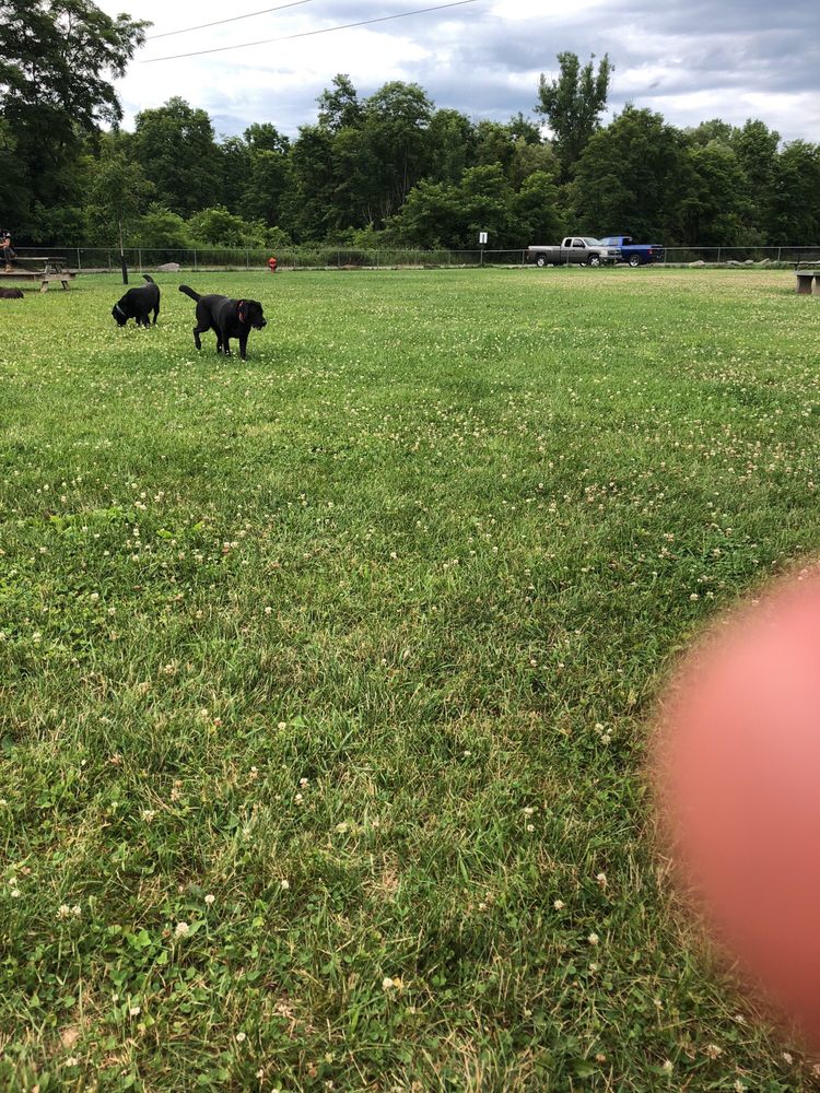 CANINE COMMONS DOG PARK Updated September 2024 27 Lewis St
