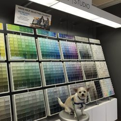 Sherwin-Williams Paint Store - Pick your colors