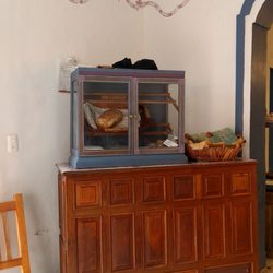 Pitagoras Cafe del Profesor