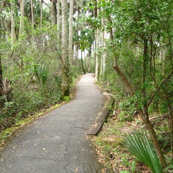 Juniper Springs Recreation Area - One of the many trails - Parks Near Me - Silver Springs, Florida Juniper Springs Recreation Area - One of the many trails - Parks Near Me - Silver Springs, Florida