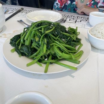 Ocean Bay Seafood Restaurant - Cantonese-style sautéed spinach - Seafood Near Me - Elmhurst, New York Ocean Bay Seafood Restaurant - Cantonese-style sautéed spinach - Seafood Near Me - Elmhurst, New York