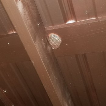 Natural Bridge Cabin Company - 6+ active wasp nests - Vacation Rentals Near Me - Slade, Kentucky Natural Bridge Cabin Company - 6+ active wasp nests - Vacation Rentals Near Me - Slade, Kentucky