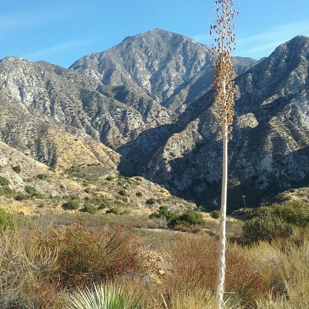 Angeles National Forest - Parks Near Me - Arcadia, California