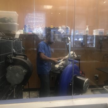 Bubbles Pet Spa - They have a professional groomer if you need it. - Pet Groomers Near Me - Encino, California Bubbles Pet Spa - They have a professional groomer if you need it. - Pet Groomers Near Me - Encino, California