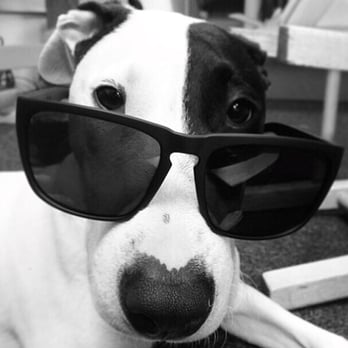 Dixie's Paws and Claws - Mack loves Dixie's! - Pet Stores Near Me - Woodland, California Dixie's Paws and Claws - Mack loves Dixie's! - Pet Stores Near Me - Woodland, California