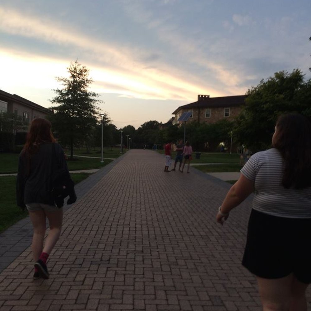 Goucher College - Van Meter Highway - Colleges & Universities Near Me - Baltimore, Maryland Goucher College - Van Meter Highway - Colleges & Universities Near Me - Baltimore, Maryland