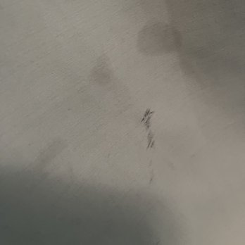 Sprinter Experts - stains and fingerprints on everything! - Auto Repair Near Me - Rancho Cordova, California Sprinter Experts - stains and fingerprints on everything! - Auto Repair Near Me - Rancho Cordova, California