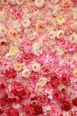 Sweet Cats Cafe by null