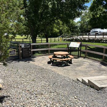 Providence Home + Garden - Table near dog park - Coffee & Tea Near Me - Noblesville, Indiana
