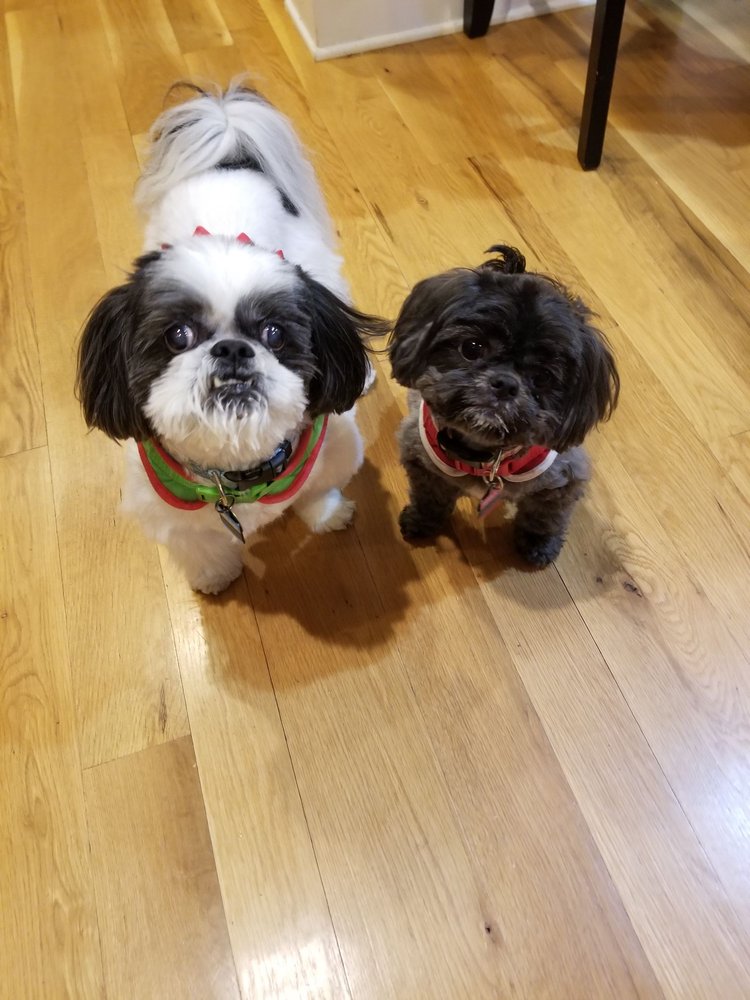 PAWS FOR ATTENTION Updated August 2024 3440 E Main St, Claremont