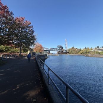 Ballard Locks Fish Ladder - Landmarks & Historical Buildings Near Me - Seattle, Washington