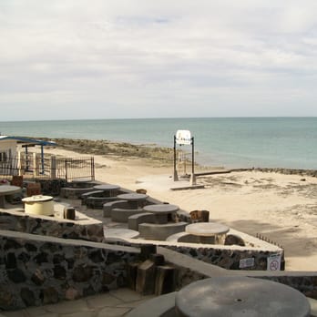 JJs Cantina - J. J.'s back patio with Yellow-Footed Gulls further out on the shoreline. - Pubs Near Me - Bahía la Choya, SON