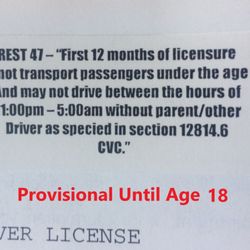 Billy Driving Instructor - Provisional License until age 18