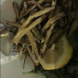 Trattoria del Padreterno
