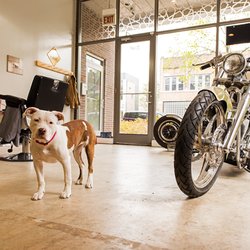 PITS,BIKES,AND CUTS....THE ULTIMATE MAN CAVE