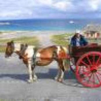 Aran Islands Information - Tours Near Me - Kilronan, G Aran Islands Information - Tours Near Me - Kilronan, G