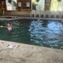 Wellfleet Motel & Lodge