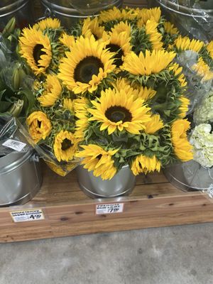 Trader Joe's by null