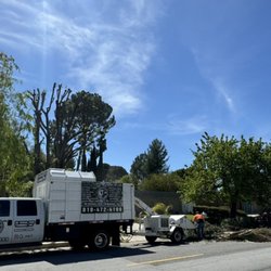 De Rosas Tree Trimming & More