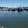 Newport Harbor gift card