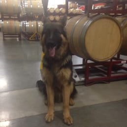 This is my first visit to Grape Expectations with my mommy and daddy. I have to get busy now and rack the wine