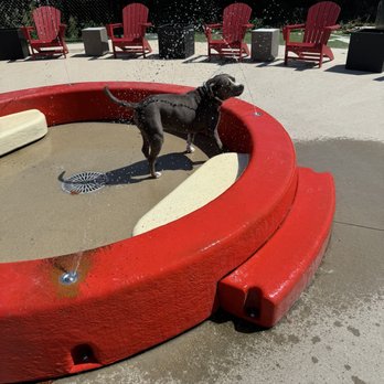 Bar K St Louis - Water area for your pup to cool off! - Bars Near Me - Saint Louis, Missouri Bar K St Louis - Water area for your pup to cool off! - Bars Near Me - Saint Louis, Missouri