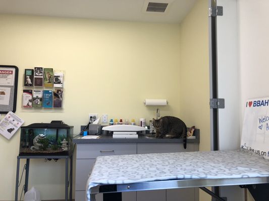 BEAVER BROOK ANIMAL HOSPITAL - 22 Photos & 51 Reviews - 434 Silas Deane