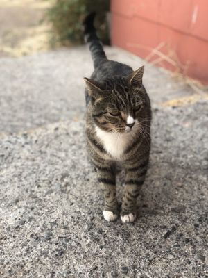 Auction Yard Café by null