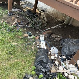 Next Mess they left Next Mess they left