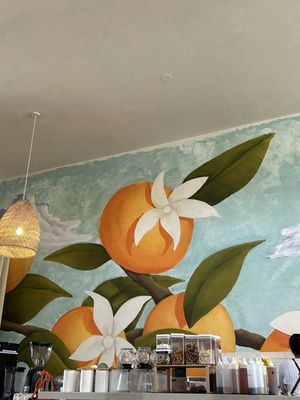 Jaffa Coffee Roasters by null