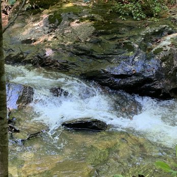 Pearson's Falls and Glen - Hiking Near Me - Saluda, North Carolina Pearson's Falls and Glen - Hiking Near Me - Saluda, North Carolina