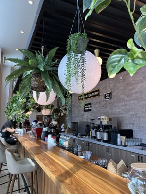 Prevail Union | ATL by null