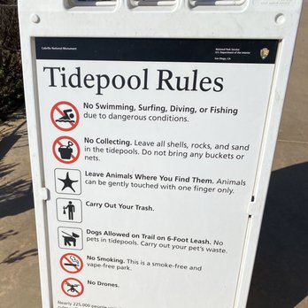 Point Loma Tide Pools - Beaches Near Me - San Diego, California