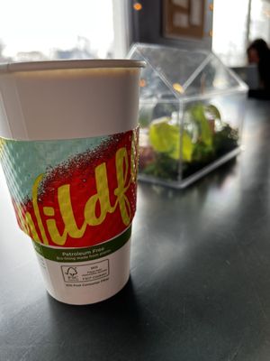 Wildflyer Coffee by null