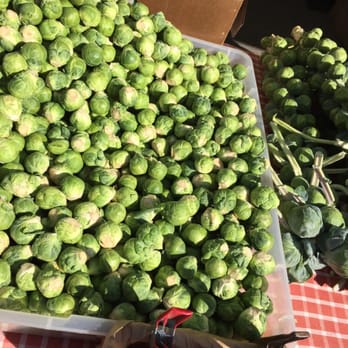 Ferry Building Marketplace - Brussels sprouts - Public Markets Near Me - San Francisco, California Ferry Building Marketplace - Brussels sprouts - Public Markets Near Me - San Francisco, California