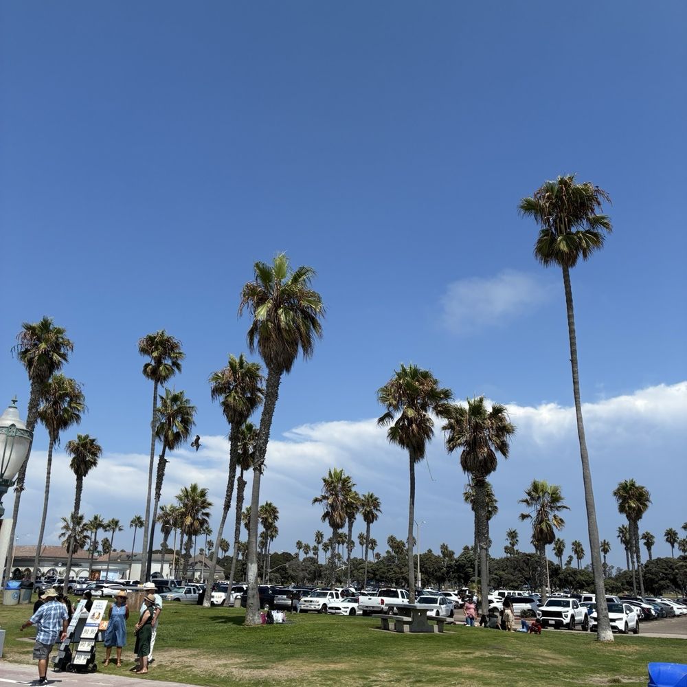 Mission Beach - View of parking lot - Beaches Near Me - San Diego, California Mission Beach - View of parking lot - Beaches Near Me - San Diego, California