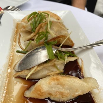 Le Colonial - Sui Cao Chien / Pan Seared Chicken Dumplings - Vietnamese Near Me - Chicago, Illinois Le Colonial - Sui Cao Chien / Pan Seared Chicken Dumplings - Vietnamese Near Me - Chicago, Illinois