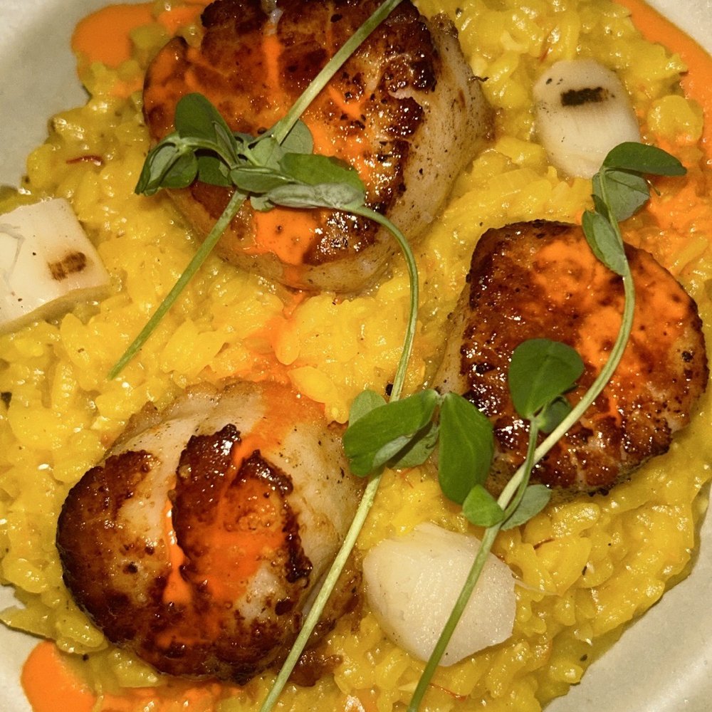 29 Markle Ct - Scallops over risotto - New American Near Me - Bridgeport, Connecticut 29 Markle Ct - Scallops over risotto - New American Near Me - Bridgeport, Connecticut