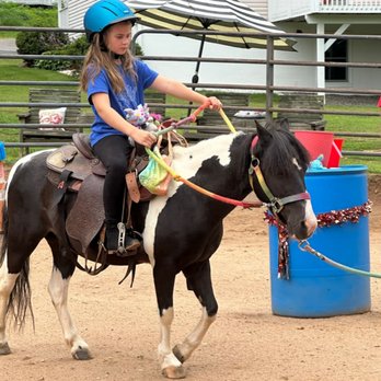 Horsing Around The Barn - Horseback Riding Near Me - Franklin, North Carolina Horsing Around The Barn - Horseback Riding Near Me - Franklin, North Carolina