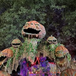 Eloise Asylum - Pumpkin walk through