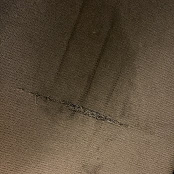 Hampton Inn by Hilton Calexico - Carpet walking into the room - Hotels Near Me - Calexico, California